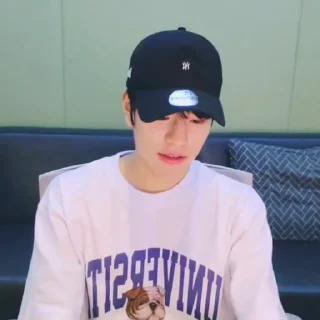 🪸 emoji @seungkz seungmin Telegram sticker 16 of 20