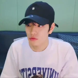 🪸 emoji @seungkz seungmin Telegram sticker 7 of 20