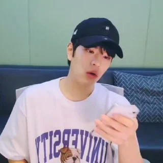 🪸 emoji @seungkz seungmin Telegram sticker 19 of 20