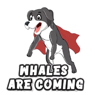 😀 emoji 2d collie_1 Telegram sticker 12 of 17