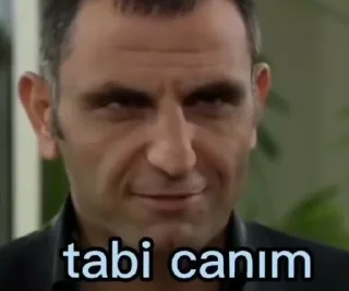 😩 emoji Seni hiç alakadar etmez!!!! Polat'ın Elif'ine (emir) Telegram sticker 17 of 28