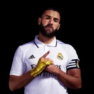 🤍 emoji Los Blancos @ramos_ly02 Telegram sticker 14 of 65