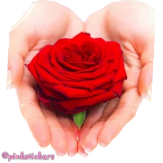 🌹 emoji Flowers 🌸@pinkstickers🌸 Telegram sticker 23 of 47