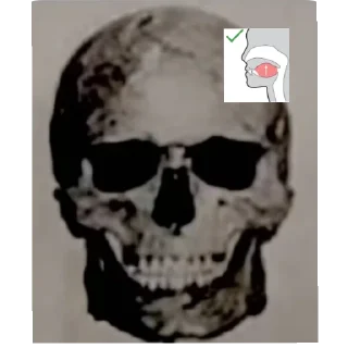 🐶 emoji Cigarettes before death Telegram sticker 20 of 26
