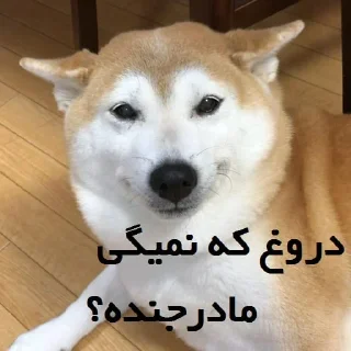 Sticker from @Mrrzed | کون مادرت اسکی بری