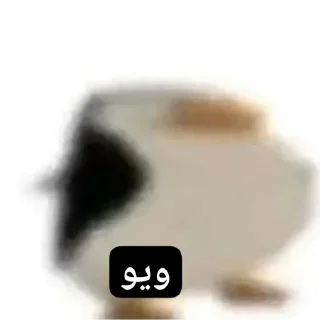 🤲 emoji ملصقاتي🗿@ahmed3mk Telegram sticker 14 of 24