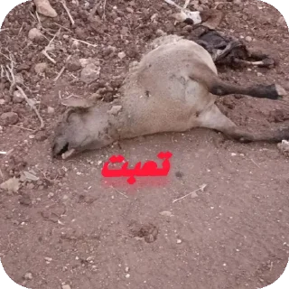 🌱 emoji ملصقاتي🗿@ahmed3mk Telegram sticker 13 of 24