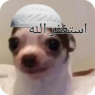 🤲 emoji ملصقاتي🗿@ahmed3mk Telegram sticker 21 of 24