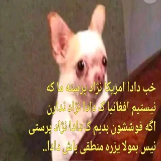 😐 emoji یا حق بمولا... Telegram sticker 6 of 35