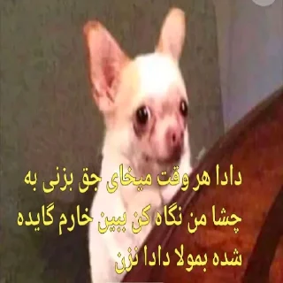 😢 emoji یا حق بمولا... Telegram sticker 7 of 35