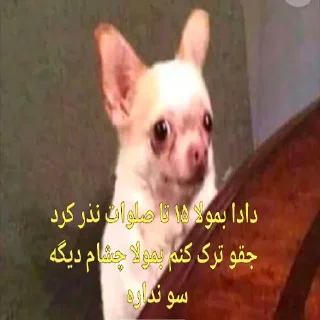 😓 emoji یا حق بمولا... Telegram sticker 2 of 35