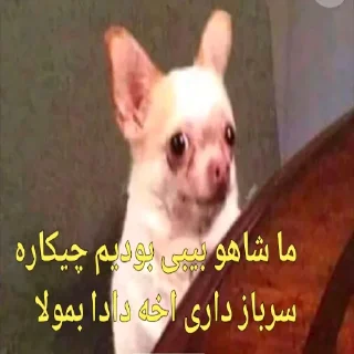 😞 emoji یا حق بمولا... Telegram sticker 8 of 35