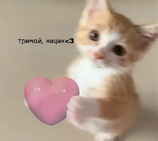 💞 emoji aliciamiaou Telegram sticker 13 of 89