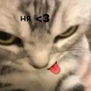 😋 emoji aliciamiaou Telegram sticker 19 of 89