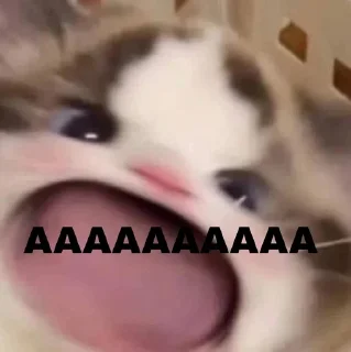 🫨 emoji aliciamiaou Telegram sticker 8 of 89