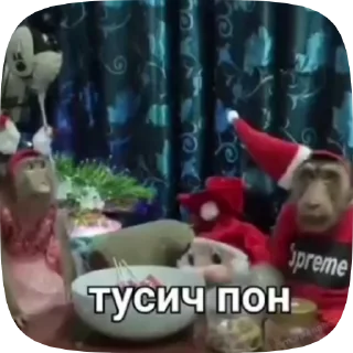 🤯 emoji Обезьянки поны 2 Telegram sticker 10 of 19