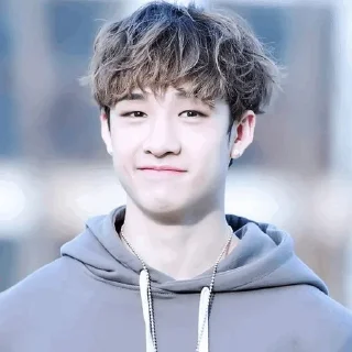 🐚 emoji | Bang Chan 🕊 | Telegram sticker 14 of 65