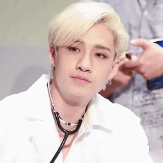 Sticker from | Bang Chan 🕊 |