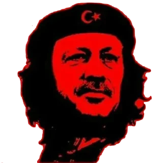 Sticker from Senator Turk VIP pack