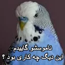 😑 emoji مرغ عشق های خارکصده Telegram sticker 12 of 92