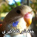 😑 emoji مرغ عشق های خارکصده Telegram sticker 18 of 92
