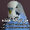 😑 emoji مرغ عشق های خارکصده Telegram sticker 15 of 92