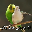 😑 emoji مرغ عشق های خارکصده Telegram sticker 4 of 92