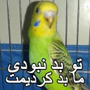 😑 emoji مرغ عشق های خارکصده Telegram sticker 23 of 92