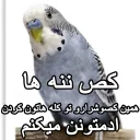 😑 emoji مرغ عشق های خارکصده Telegram sticker 10 of 92