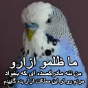😑 emoji مرغ عشق های خارکصده Telegram sticker 13 of 92