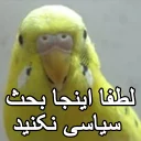 😑 emoji مرغ عشق های خارکصده Telegram sticker 21 of 92