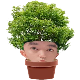 🪴 emoji 抽象郑中胜 @fatherofcannian Telegram sticker 8 of 47