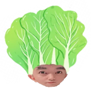 🥬 emoji 抽象郑中胜 @fatherofcannian Telegram sticker 20 of 47