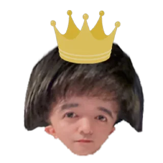 👑 emoji 抽象郑中胜 @fatherofcannian Telegram sticker 21 of 47