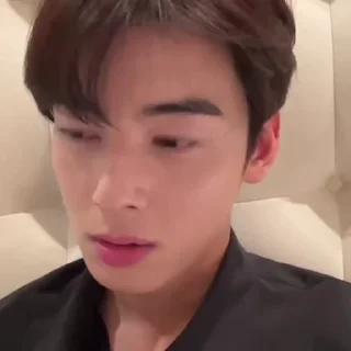 🎳 emoji cha eun woo' @ogbudovnax Telegram sticker 11 of 20
