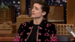 🤨 emoji Timothée Chalamet Telegram sticker 24 of 28