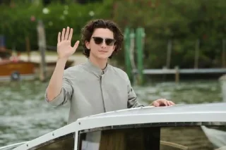 👋 emoji Timothée Chalamet Telegram sticker 14 of 28