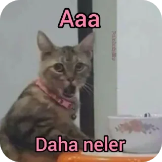 🐱 emoji @. Telegram sticker 5 of 41