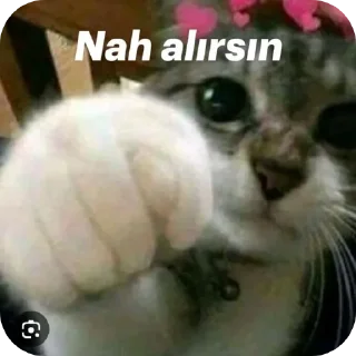 🐱 emoji @. Telegram sticker 17 of 41