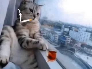 🚬 emoji New sticker channel 👉‌ ‌[@thisimp] Telegram sticker 24 of 50