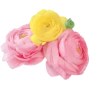 💕 emoji @word16 منوعات2 Telegram sticker 12 of 120