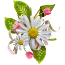 🌸 emoji @word16 منوعات1 Telegram sticker 1 of 107