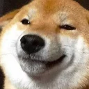 Sticker from Doge