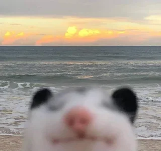 Sticker from Opossum