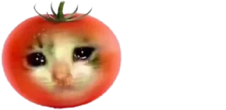 😂 emoji @timsarm |𓄀𓆃 Telegram sticker 6 of 120