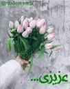 🌹 emoji حال من خوب است Telegram sticker 5 of 116