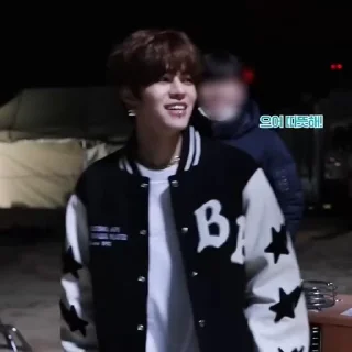 🪽 emoji SKZ 특 BTS @skzstickers Telegram sticker 24 of 50