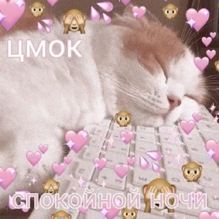 💜 emoji 💖Uwu💖 Telegram sticker 12 of 120