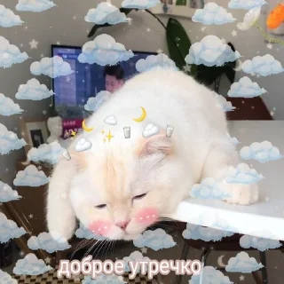 ☁️ emoji 💖Uwu💖 Telegram sticker 17 of 120