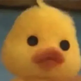 🤏 emoji Duck Telegram sticker 8 of 23